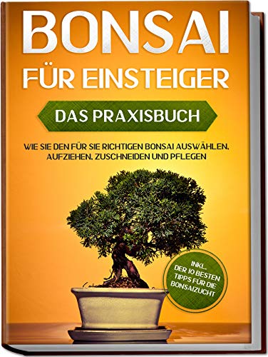 Bestes bonsai im Jahr 2022 [Basierend auf 50 Expertenbewertungen]