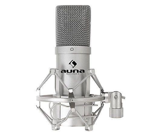 Auna Pro MIC-900B, USB Kondensator-Mikrofon, Gaming-Mikrofon, Standmikrofon für Gesangs- und Sprachaufnahmen, PC & Studio, USB Mikrofon Mikro, 16 mm Kapsel, 320Hz - 18KHz, Silber