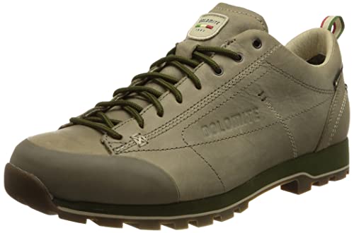 Dolomite Unisex Zapato Cinquantaquattro Low FG GTX Sneaker, ALUMINI Grey, 42 EU