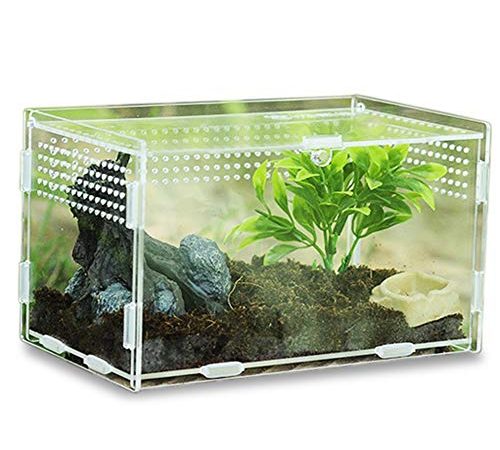 Keweni Insect Feeding Box, Acryl-Terrarium-Behälter für Spinnenechsen-Frosch-Skorpion, Tragbarer Kriechender Haustier-Reptilien-Lebensraum, Anti-Flucht-Design (klar1)