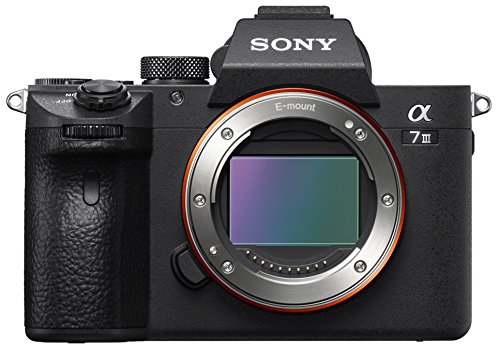 Bestes sony alpha 7 iii im jahr 2024 [Basierend auf 50 Expertenbewertungen]