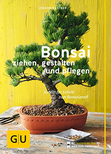 30 Bestes bonsai im jahr 2024 [Basierend auf 50 Expertenbewertungen]