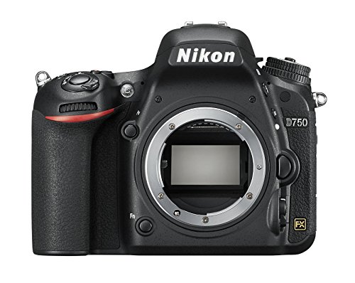 30 Bestes nikon d7500 im jahr 2024 [Basierend auf 50 Expertenbewertungen]