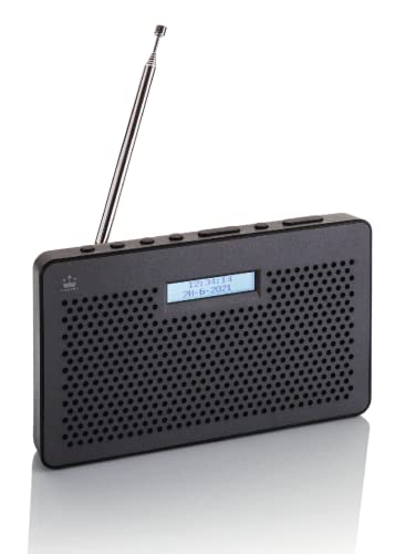 30 Bestes dab radio im jahr 2024 [Basierend auf 50 Expertenbewertungen]